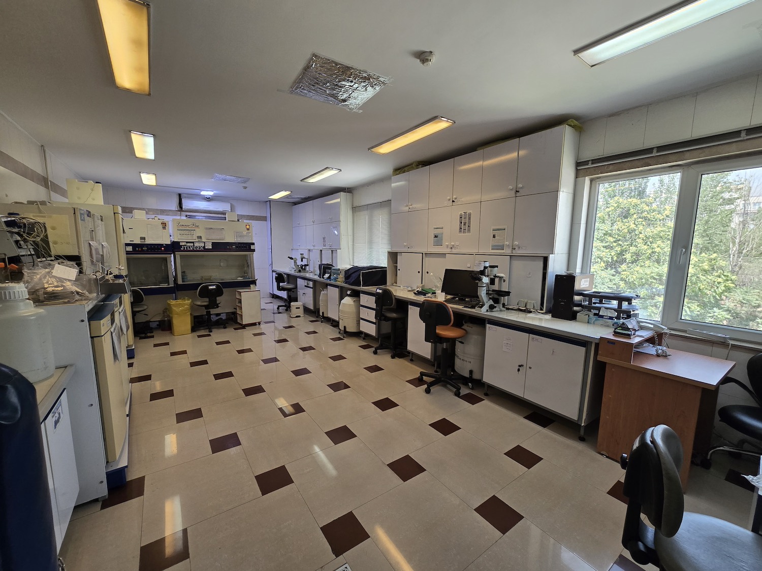 Pluripotent stem Cells 1